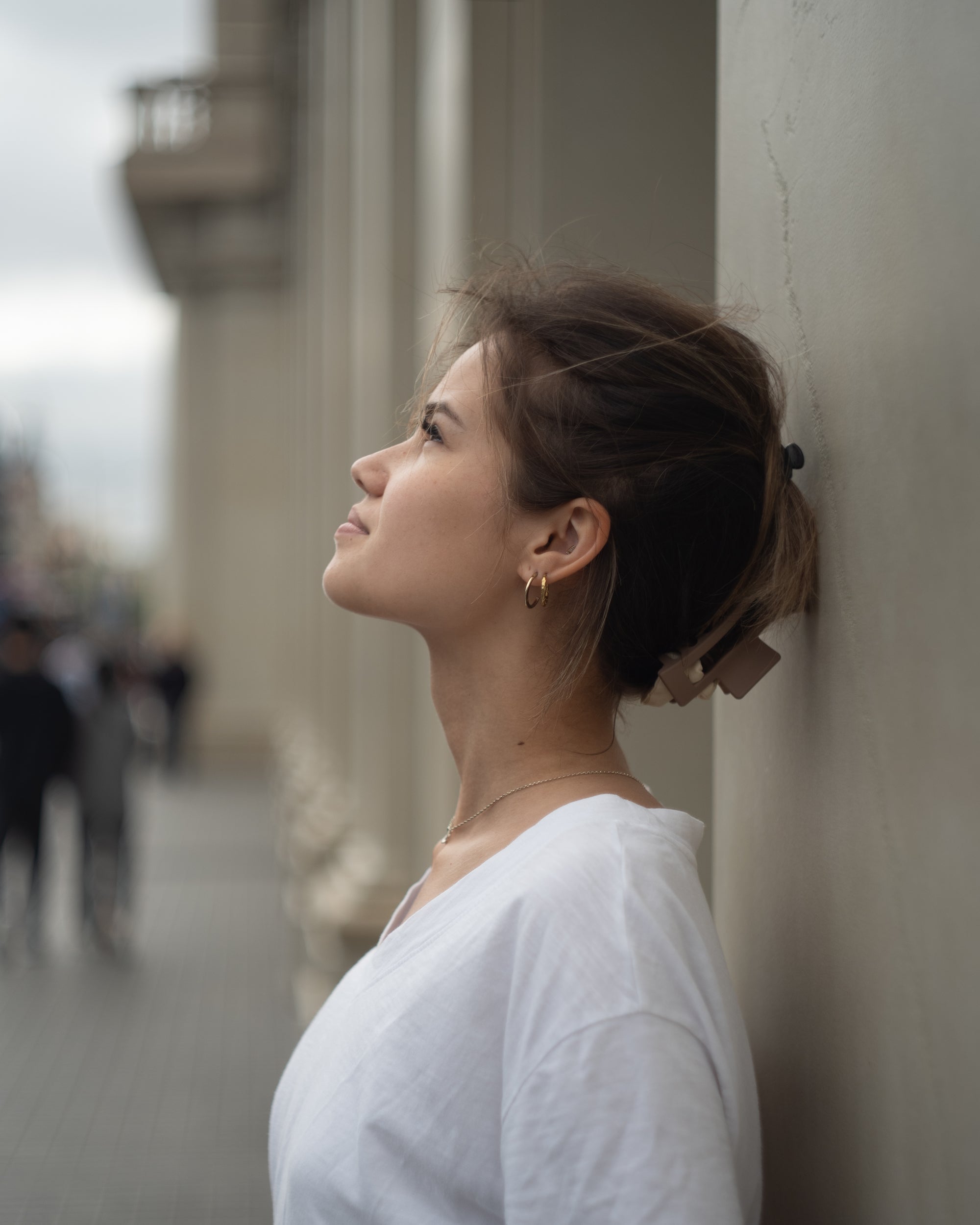 Presets Portrait Professional Pack