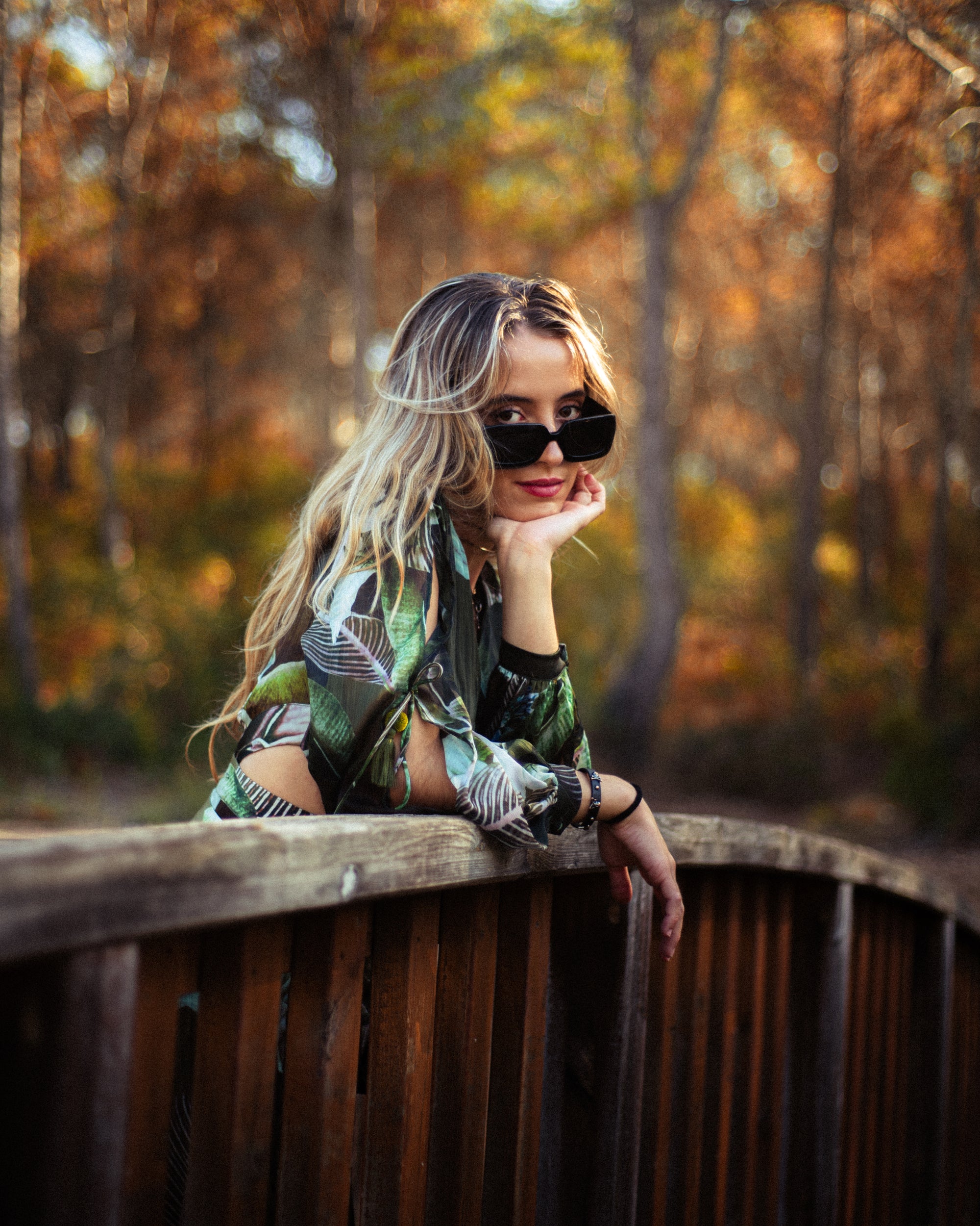 Presets Portrait Professional Pack