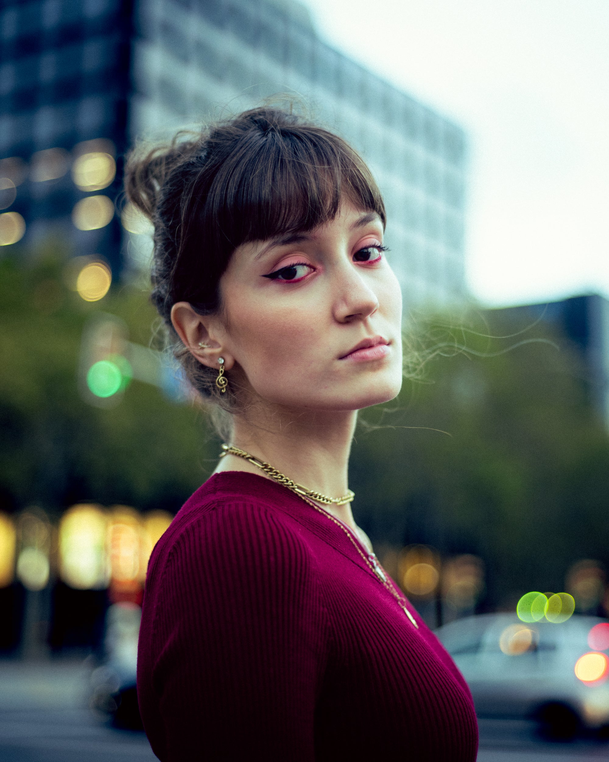 Presets Portrait Professional Pack