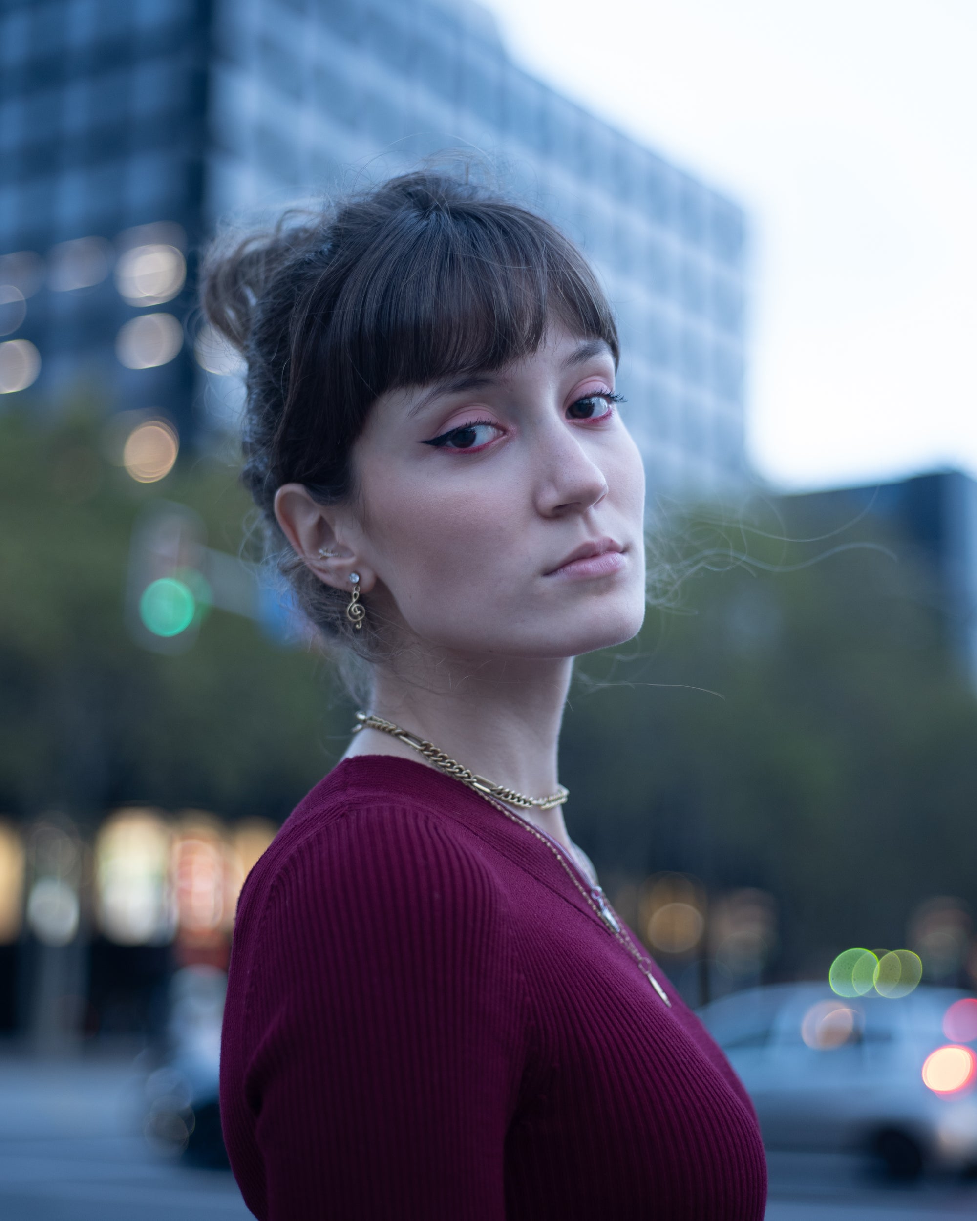 Presets Portrait Professional Pack