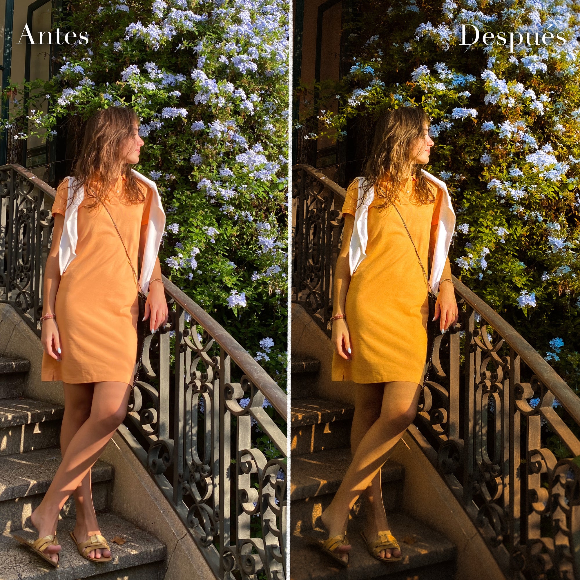 1 Click iPhone Presets Pack